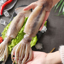 海鮮水產鮮活魷魚新鮮大魷魚冷凍鮮魷魚魷魚須尤魚魷魚頭燒烤批發