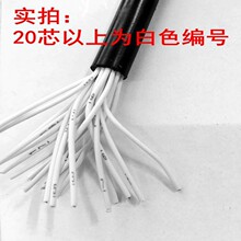 供应rs485-22通讯电缆大对数通讯电缆 厂家供应 价格合理通讯电缆