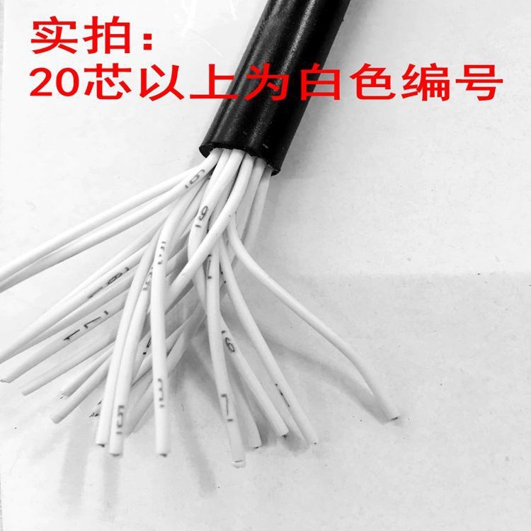 供应rs485-22通讯电缆大对数通讯电缆 厂家供应 价格合理通讯电缆