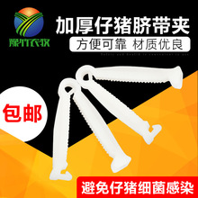 脐带夹小猪用仔猪护脐带猪用一次性断脐带护脐夹仔猪脐带夹