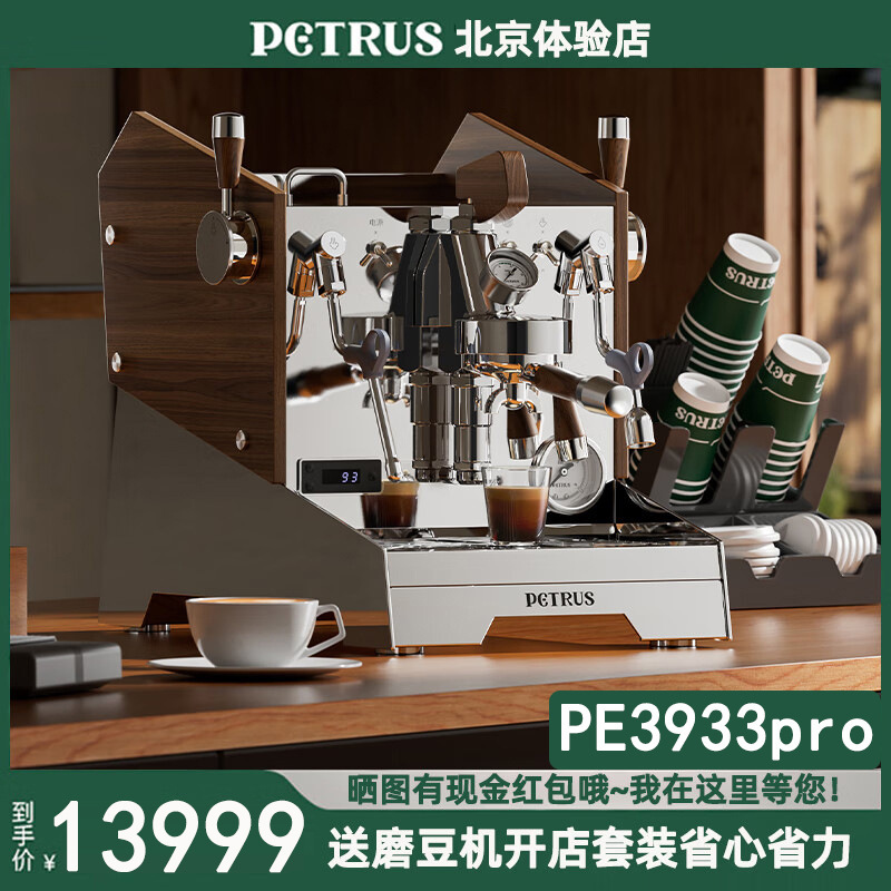 Baicui PE3933pro Semi-automatic Coffee Machine Commercial Rotary Pump Italian Concentrated Manual Steam Stick to Beat Milk Foam