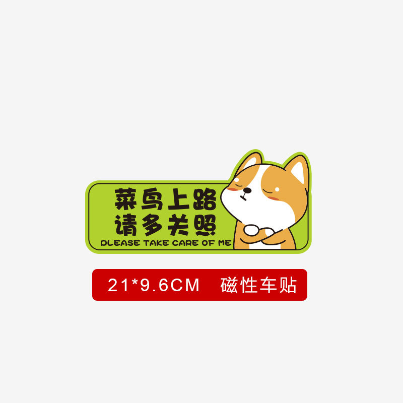 【Shiba Inu】Please take care of me as a newbie on the road