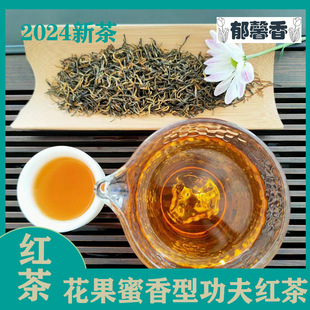 ��2026�²衿�F�����x����t�� ɢ�b���l���� �����������x�t
