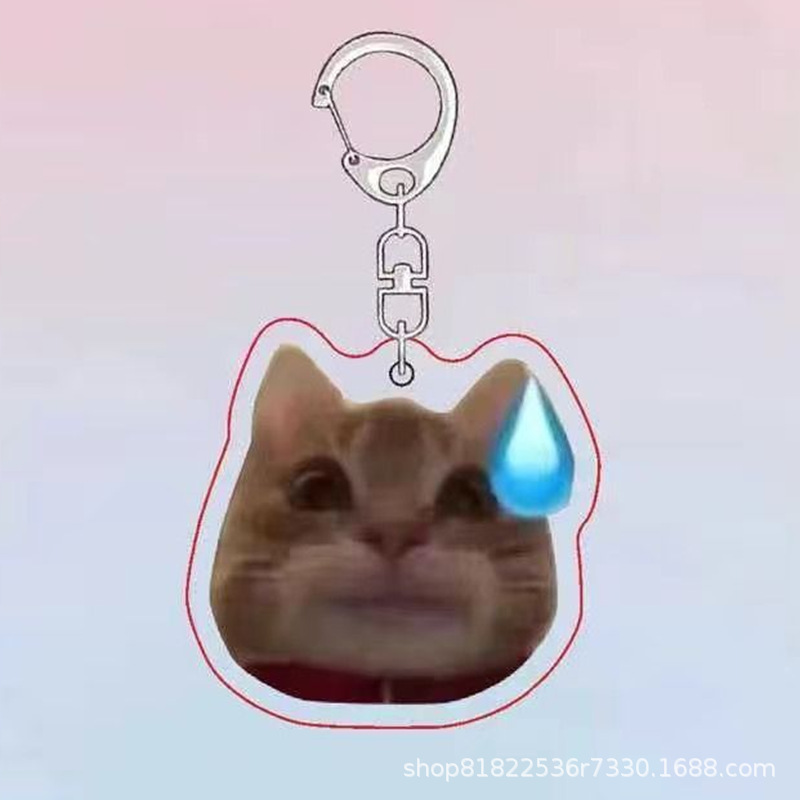 투약 고양이 B6665