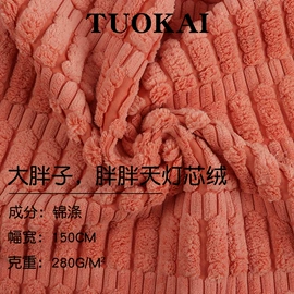灯芯绒;涤纶面料