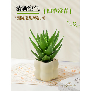 �����L�Gֲ�҃ȿ͏d�ļ����B�����k���������՚��b[���J�C����