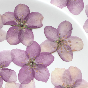 ���Ļ� �ɻ�����ֲ��˱��ֹ����z�Ʒ�֙C�����diy�����NĘѺ��