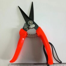 ���P����Ǽ����I늹��X�۰������FƤ�������������|䓽z�W