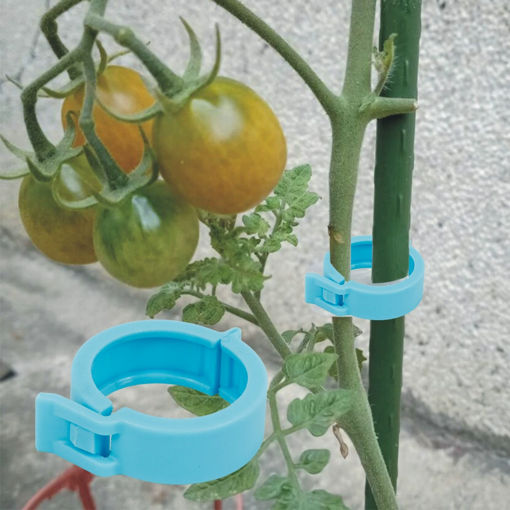 Крепление для вьющихся растений: зажимы для подвязки роз, томатов, позиционирования папайи, подвязки растений типа «паук» и других вьющихся растений