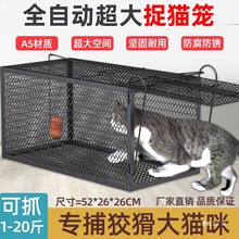 全自动捕猫笼大号抓猫神器人道救援超市新款逮捉猫笼子户外捕猫笼