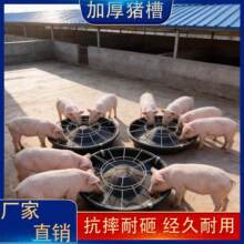 �¿�ɹ̶�������С�i�ϲ�ʳ�����i�a�ϲۼ���ι�iʳ�۸ɝ����