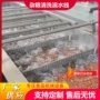 自动板栗清洗机高粱