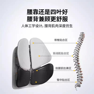 Ergonomic Lumbar Support Cushion for: Waist support