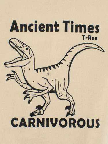 27kids children's clothing new autumn boy long-sleeved T-shirt base shirt baby clothes round neck t-shirt one piece drop shipping