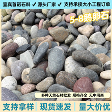 �Z��ʯ5-8cm׃�վ�V�ͺ���ʯ�V�Ϲ��̾��^�Ӟ�ʯ�·�쾰����ʯ