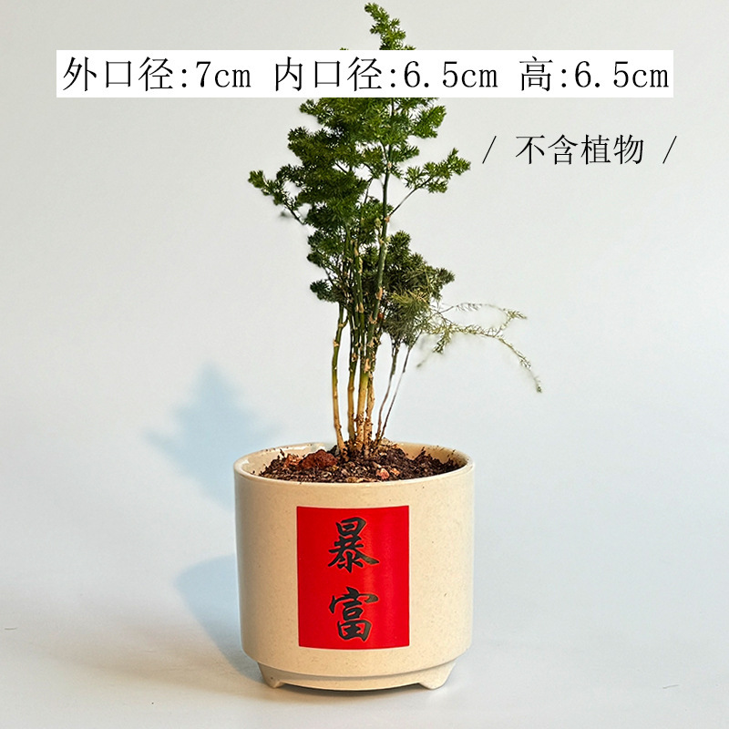 白い多肉盆の越境創意デスクトップ置物現代家庭園芸サボテン緑植植木鉢はロゴを印刷できます。|undefined