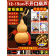 12-15cm without opening [selected by the shopkeeper - one out of a hundred selected models]
