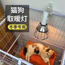 猫咪宠物取暖灯保温爬宠加热灯保暖灯暖风机芦丁鸡温控器陶瓷暖灯