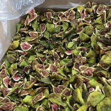 ��Ƥ�o���� �o������ �����خa �r�o�����͜غ濾