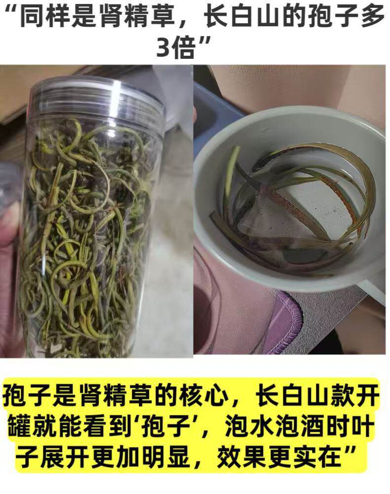Shen Jing Cao Kidney Essence Tea Wild Dried Herb for Daily Infusion 100g with Goji quality and texture