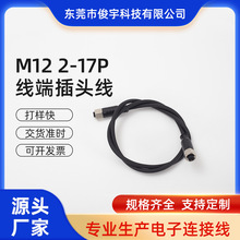 加工焊接注塑一体GX12航空插头插座线M12  2-17P 线端防水插头线