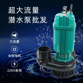 定制3寸4寸大流量潜水泵QDX65-7-2.2家用单相220V清水灌溉潜水泵