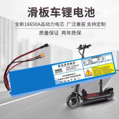48v電気自動車リチウム電池36Vスケートボード車の元のリチウム電池48V12は折り畳み電気自動車24V電池を運転している