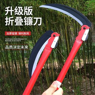 ��ݵ���Ȳݵ���~�r�ߴ�砵����ݹ����r��砵���ĥ��ۯB砵�