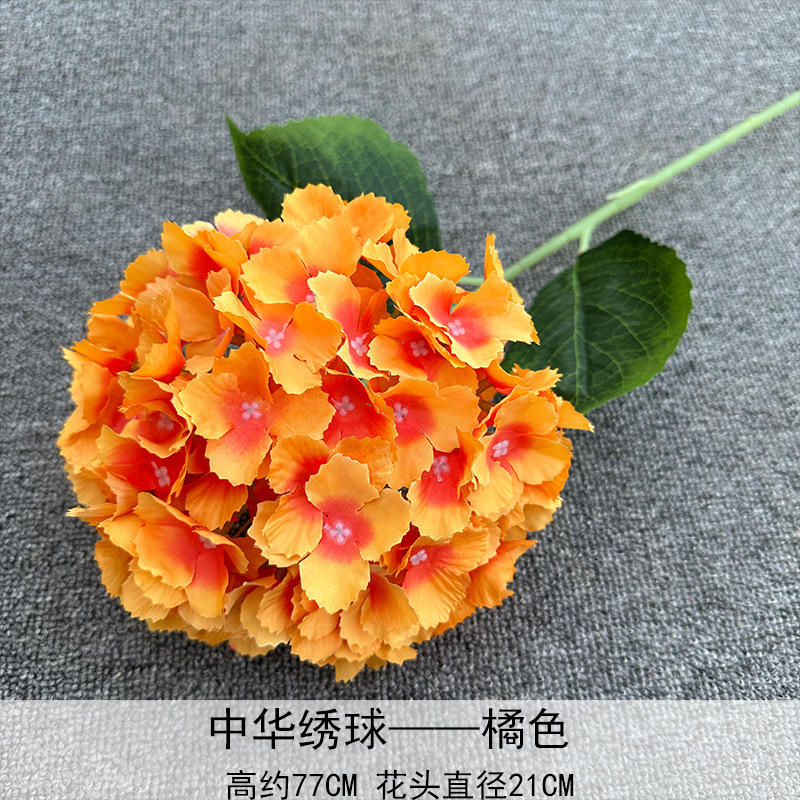 Hortensia China Naranja