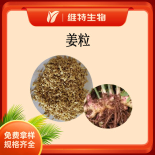 С�S���� ���� 8-16Ŀ Ginger granule �S���w�� ����ˮ