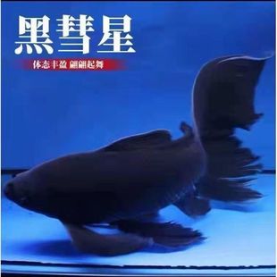 �������~�����ڽ��\���^�p�~��ˮ�ͻ���ˮ�~�����ī���~�Lβ