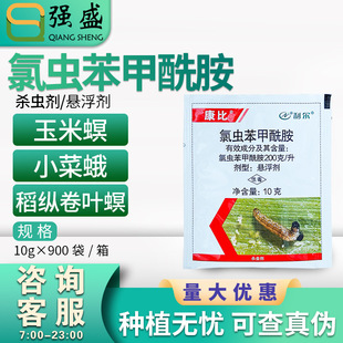 ���� ����20%���x�����������v���~��������С�˶ꚢ�x���rș���l