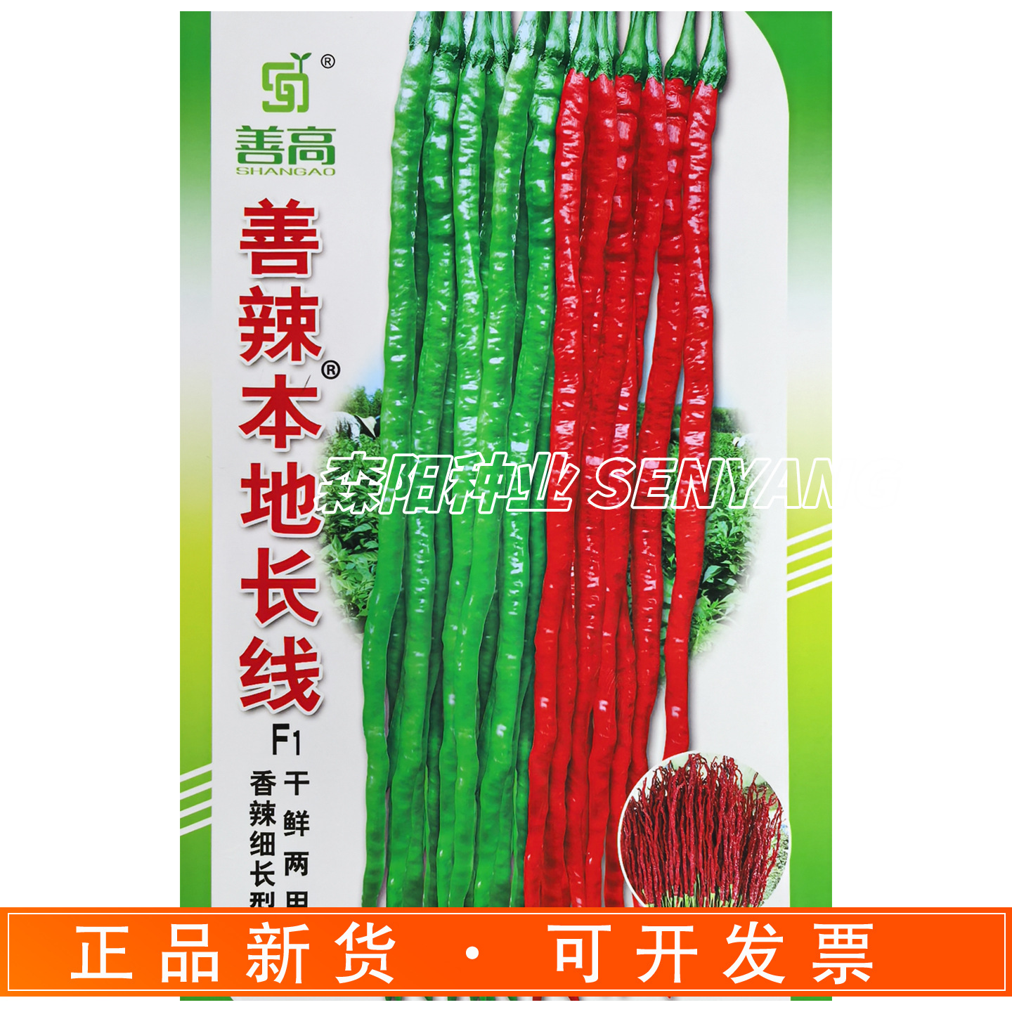 善辣本地长线辣椒种子早中熟细线椒二金条干鲜两用鸡肠椒辛香长龙