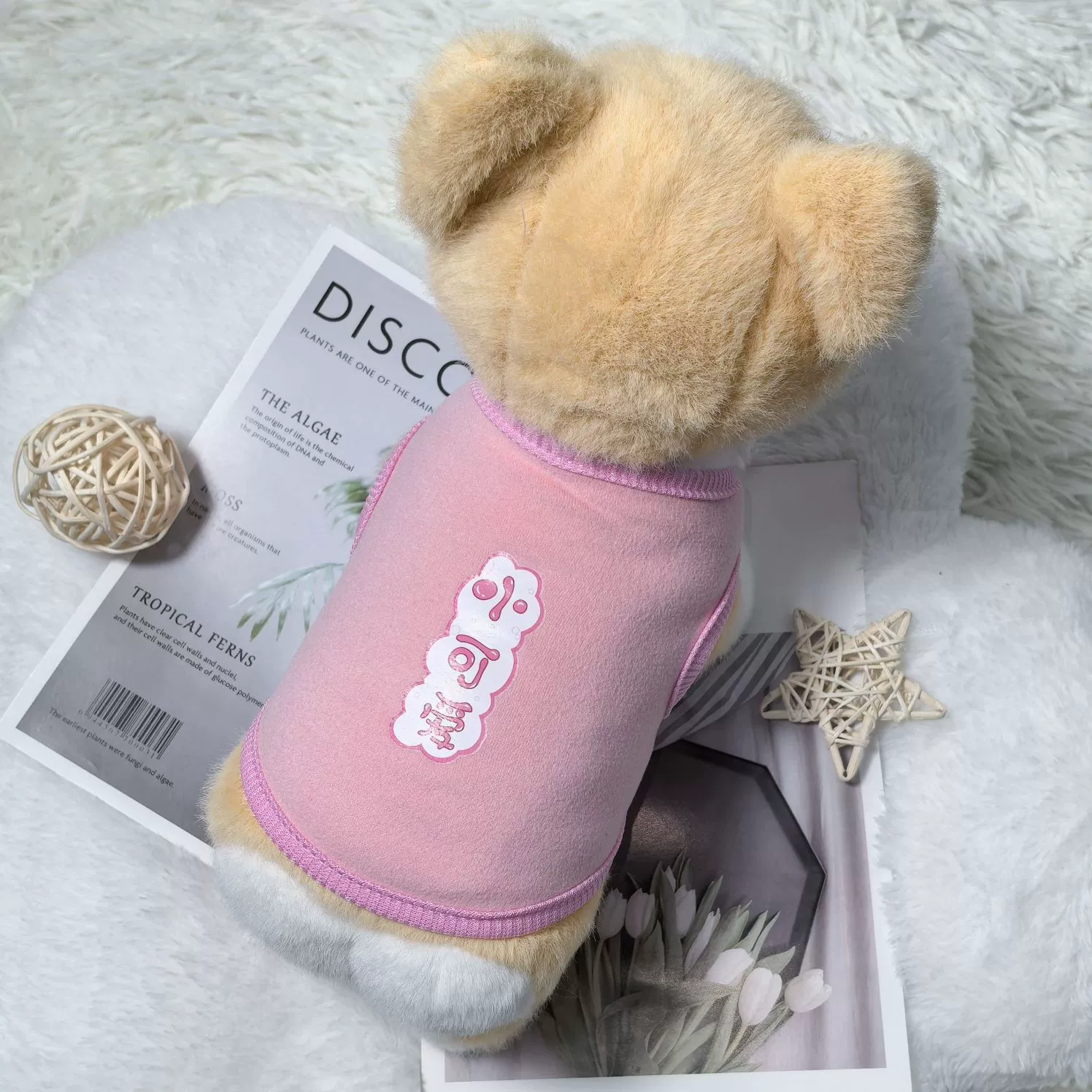 От 0 до 3 месяцев маленькая собачья одежда супер милая милая домашняя одежда супер маленькая осень и зима