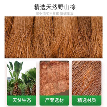 ?��ʽ�ؙ��߰���ë������¿�����L����Ժ�ӹ��S܇�g�ߵ���