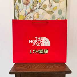北缅专柜手提袋THE服装购物袋北家羽绒服棉服超大包装袋礼品袋