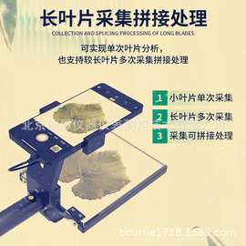 波恩仪器叶面面积分析仪厂家手持图片植物虫洞数量叶片周长测定仪