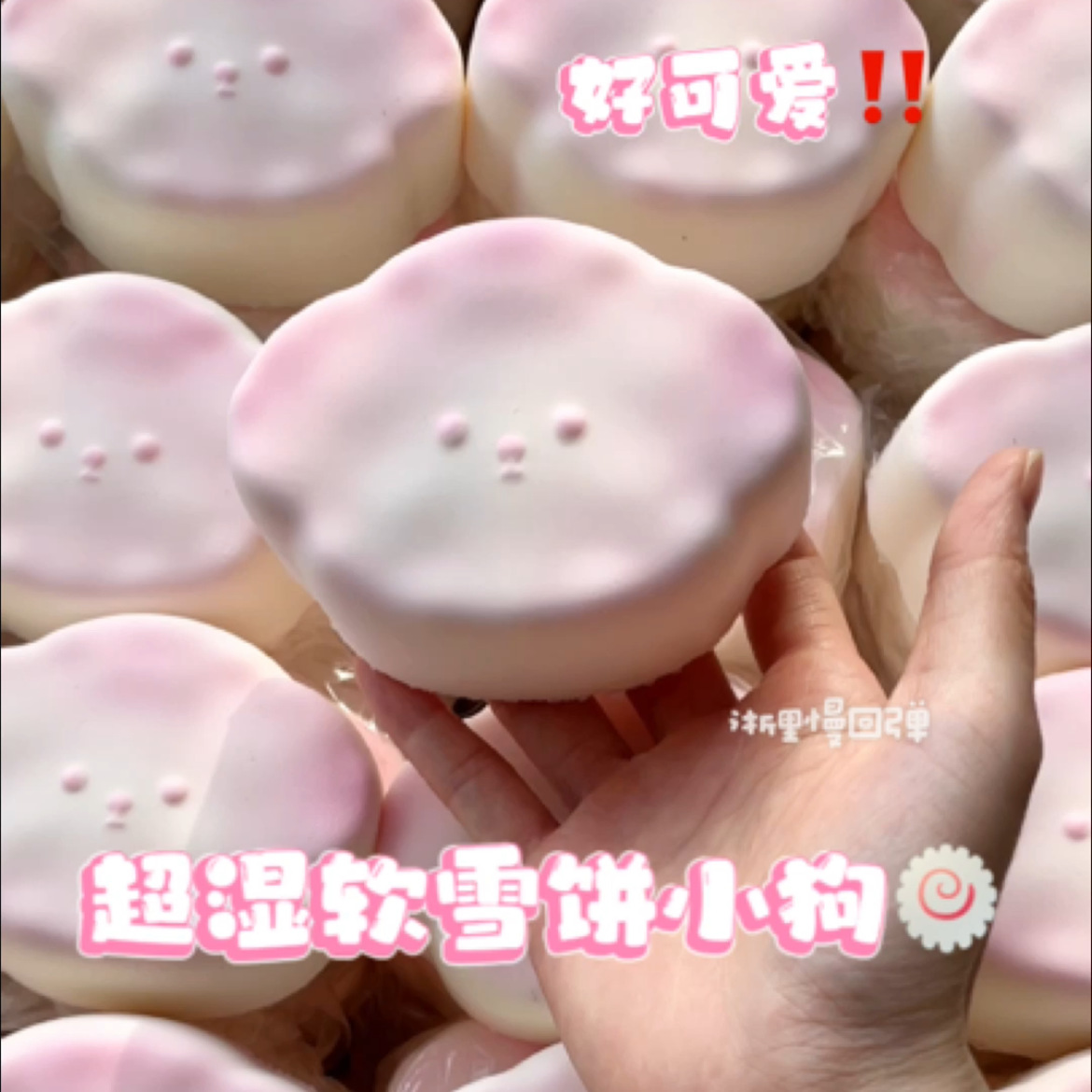 물꿀가루 스노우케이크 강아지