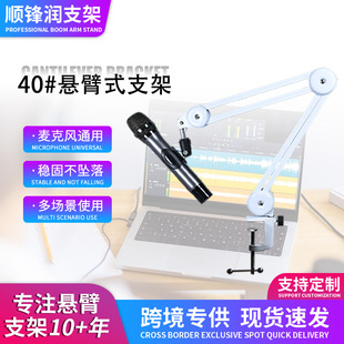 Microphone Microphone Cantilever Bracket Live Singing Bracket Universal Foldableing Stretch Adjustable Wall-Mounted Condenser Microphone Bracket