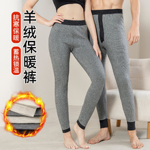 �ﶬ��Ů��Ӻ��Q�l�Ứ��ë��ůѝ�ﶬ���ëѝ�ȴ�����������ѝ