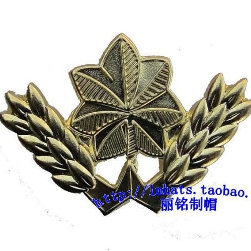 Security guard collar insignia, metal collar insignia, tin collar insignia, silver-grey tin collar insignia, security guard accessories and decorations.