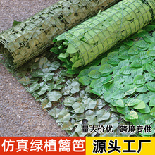 ����Gֲ�h�ʾW��������̨����ƴ�ӖřھG�j��ɽ���⠝�ړ�����