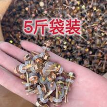 �����β�z��β�z�������Թ�����ݽz�β��β�ݽz�β�ݽz���