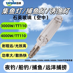 Sea Quartz Gold Halogen Lamp/Fishing Lamp/Fishing Lamp/Fishing Luring Lamp Tt110 3000W/4000W E40