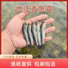 �ݽz���~������~����Ͳ��~���a�~���Ĵ���~���Bֳ���w�~�����