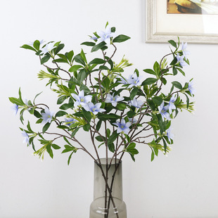 �Ҿӿ͏d�b���������滨 �߶��p�ݲ廨��ˇɭϵ���յ��߼ٻ�