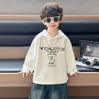 男童春秋连帽卫衣2026新款儿童韩范帅气衣服男孩宝宝秋装休闲上衣