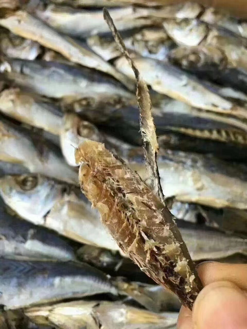 c8b183466042fbf40d86bc6437b591