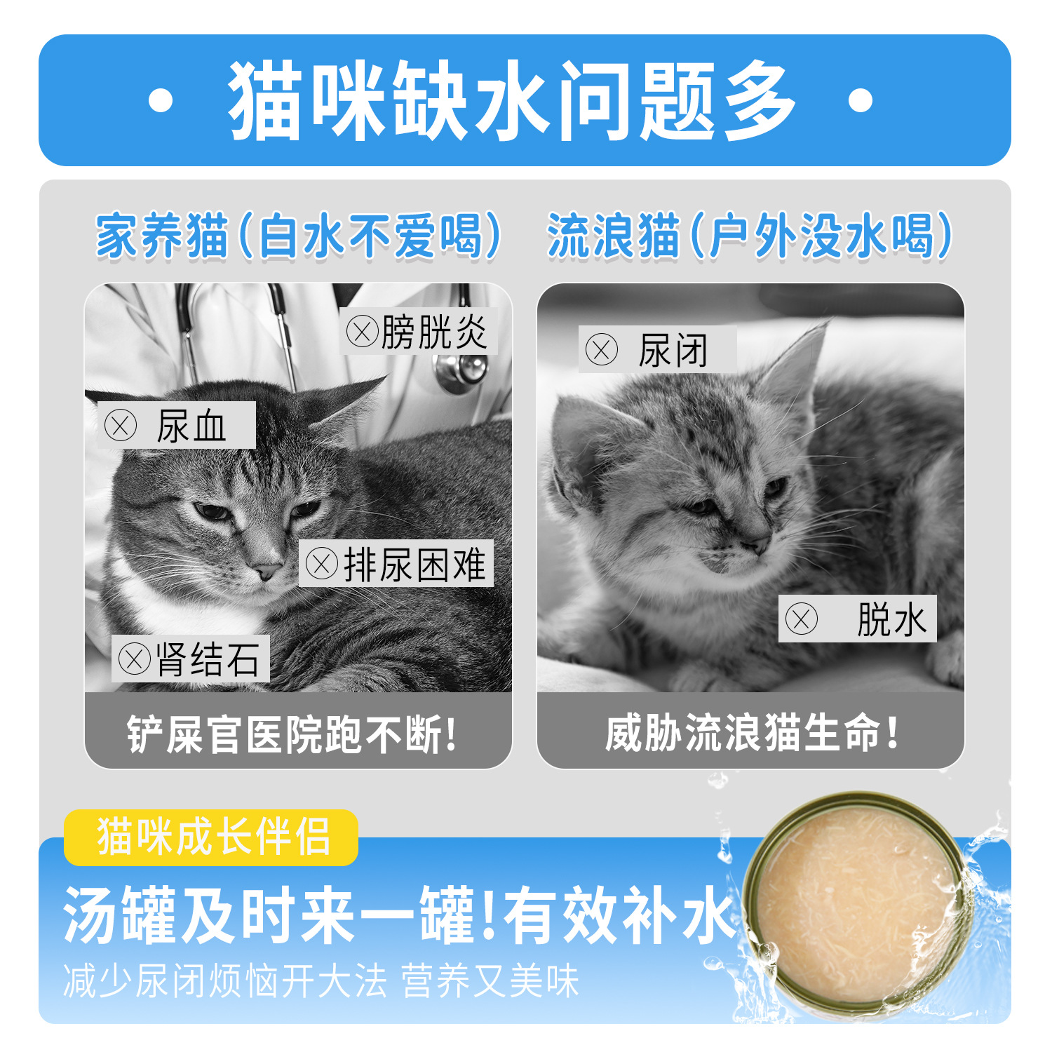 Havo gato pollo enlatado de alto contenido de sodio, suplementos de nutrición para gatos, bocadillos de pollo de calabaza, alimentos húmedos para gatos 24 latas.