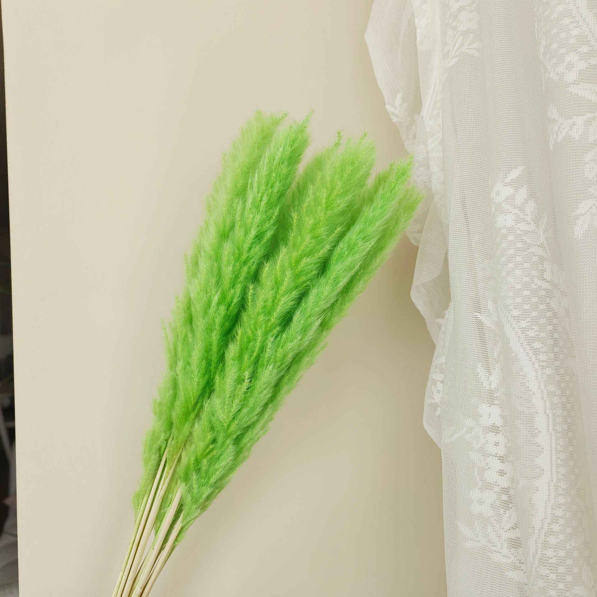 연한 녹색 가지 15개